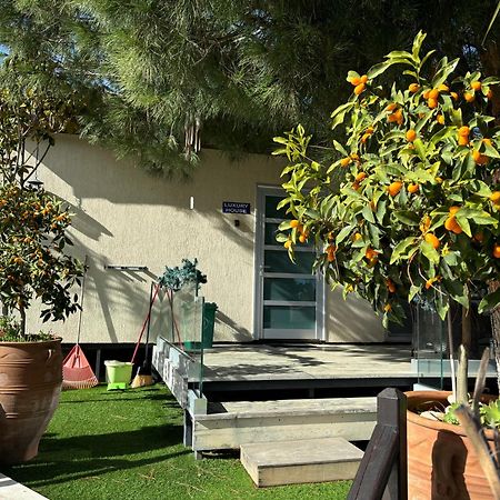 Sofros Valley Hills Chalet Agios Mamas Exterior foto