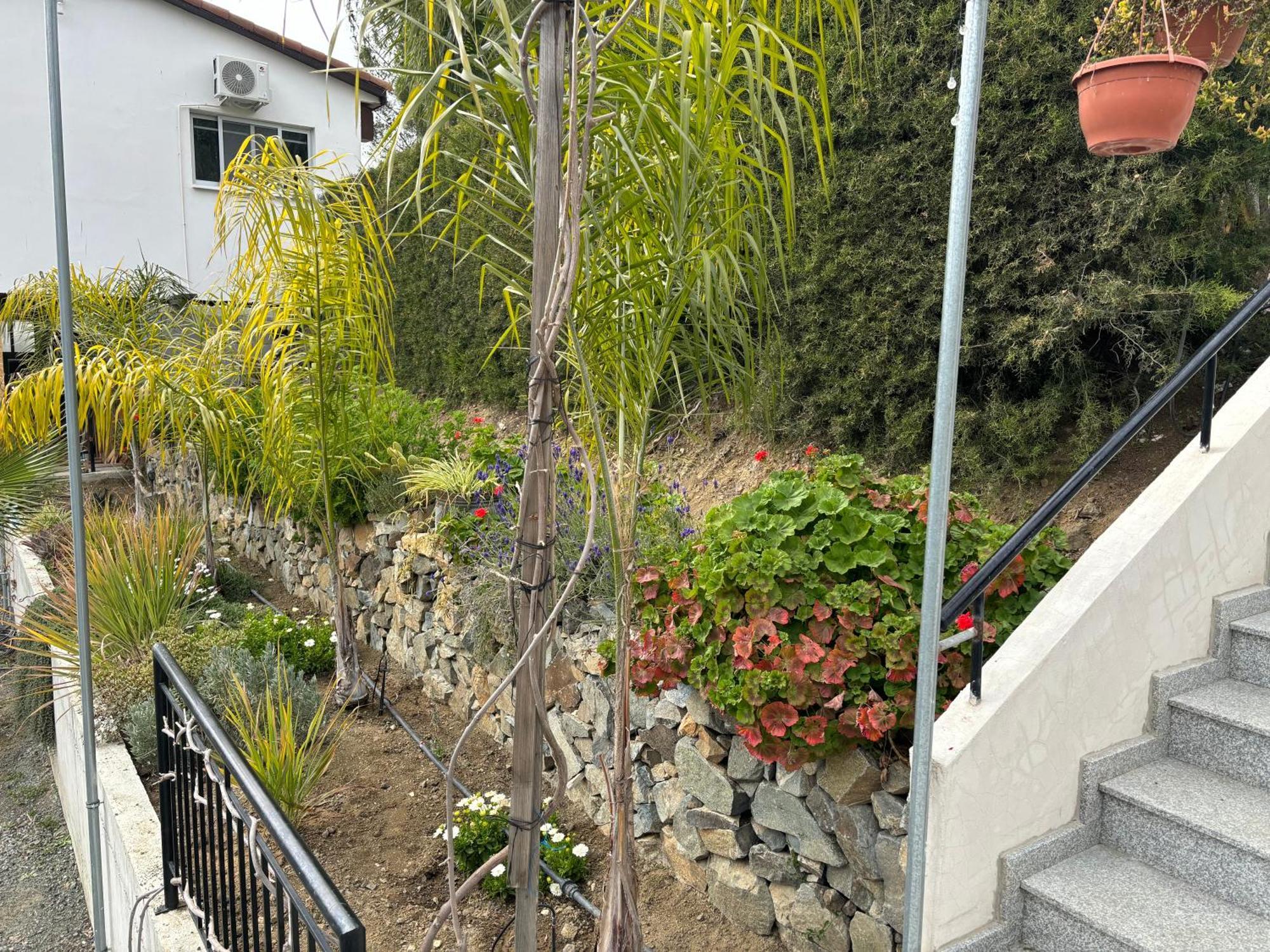 Sofros Valley Hills Chalet Agios Mamas Exterior foto